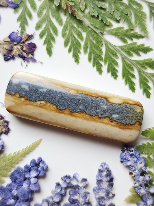 Starry night picture jasper