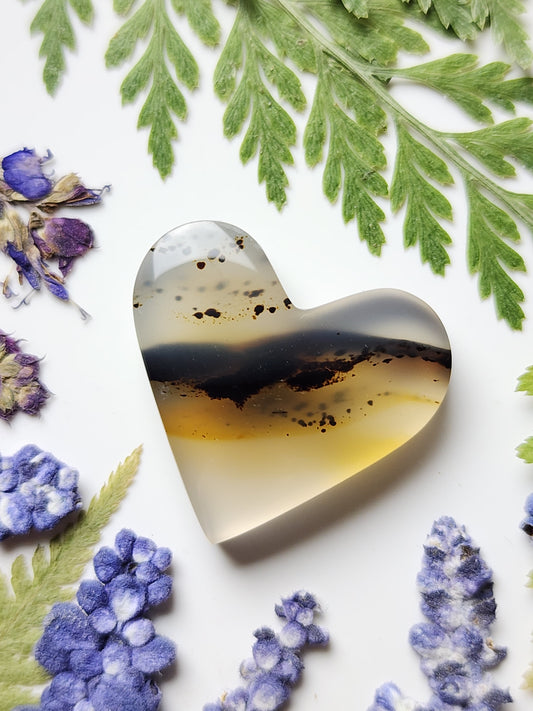Montana agate heart