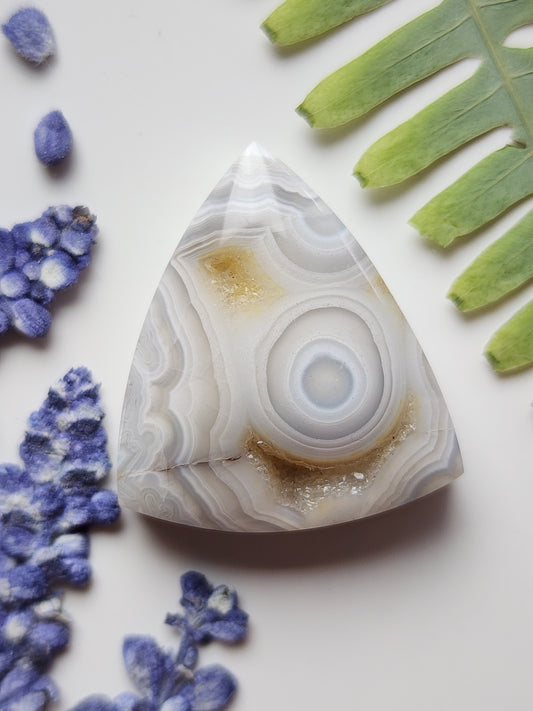 Laguna laxe agate with druzy pocket