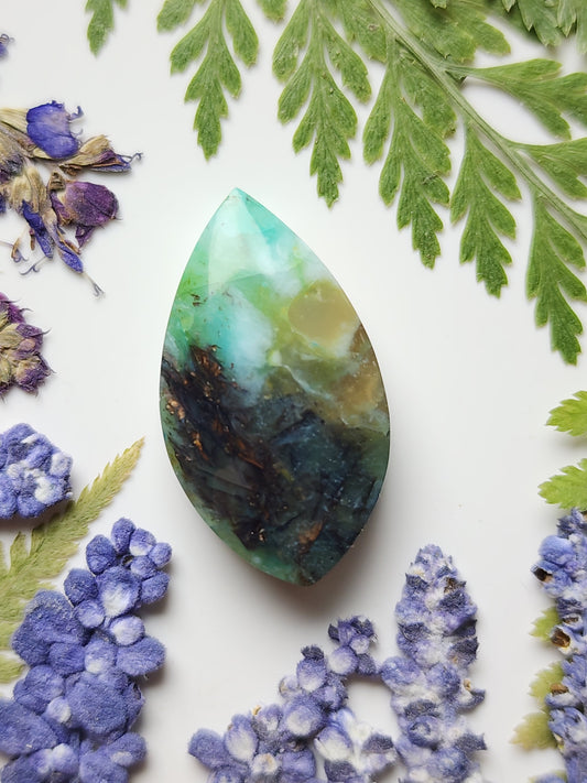 Petrified Blue Opalized wood with copper