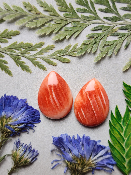 Spiny shell oyster pair