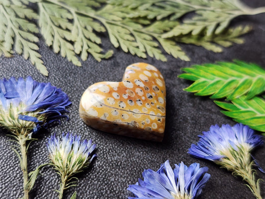 Spotted Fawn jasper heart