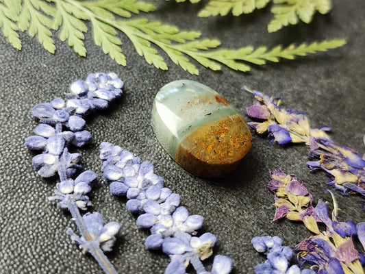 BC Ocean Picture Stone