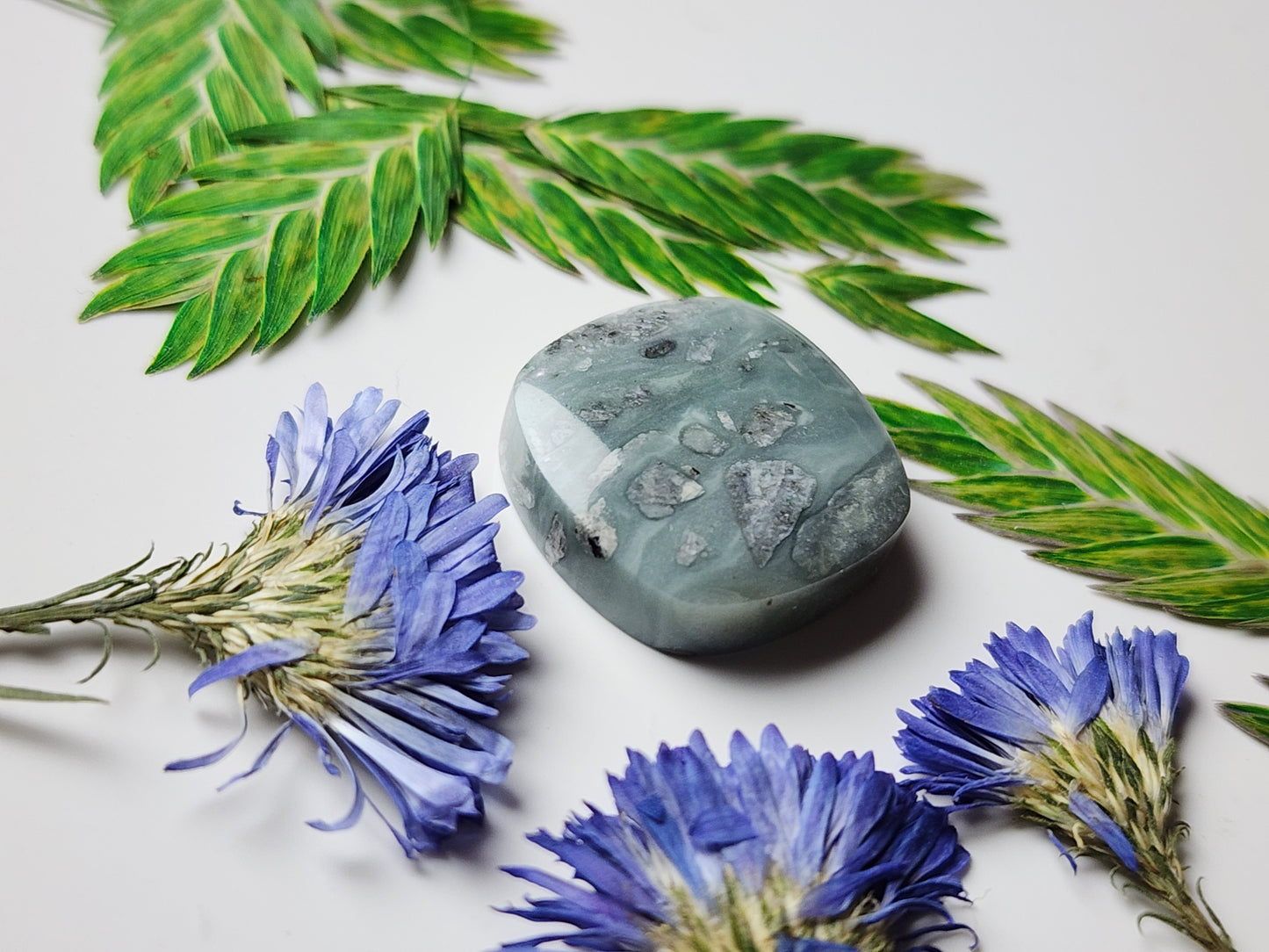 BC Ocean Picture stone