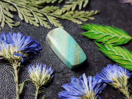 Petrified blue opalized wood