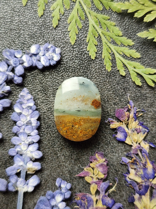 BC Ocean Picture Stone