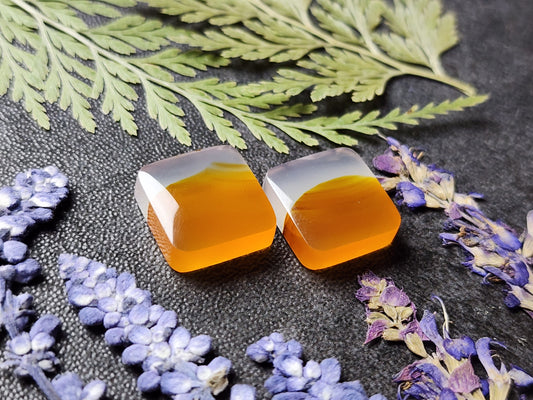Montana agate pair