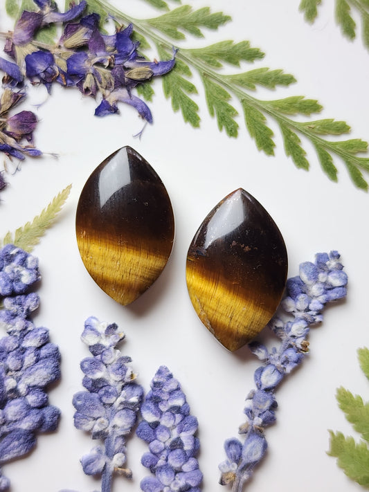 Tiger's eye pair
