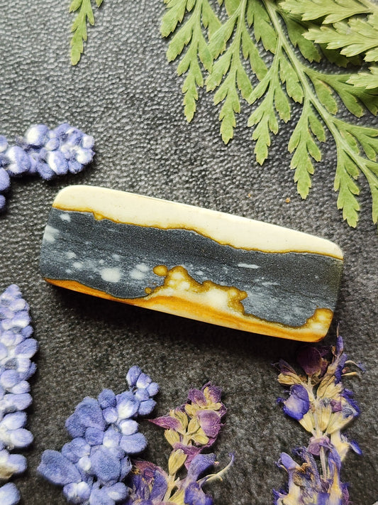 Starry night picture jasper