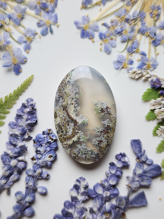 Garden moss agate