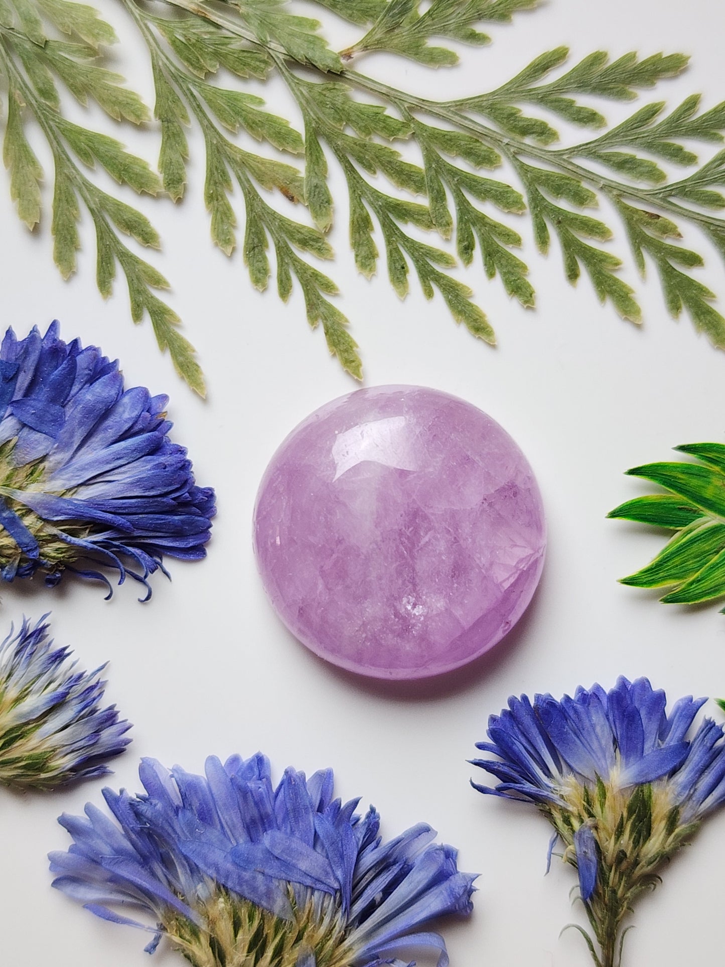 Lavender Kunzite