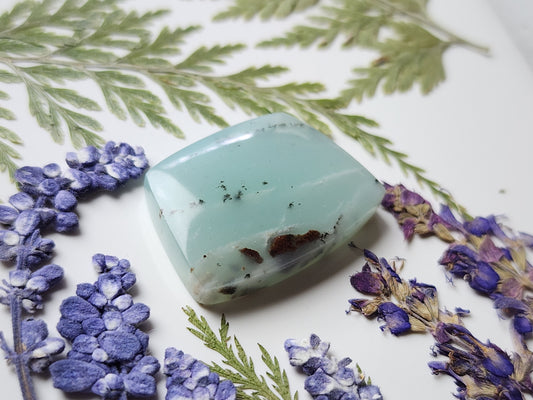 BC Ocean picture stone