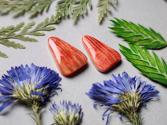 Spiny shell oyster pair