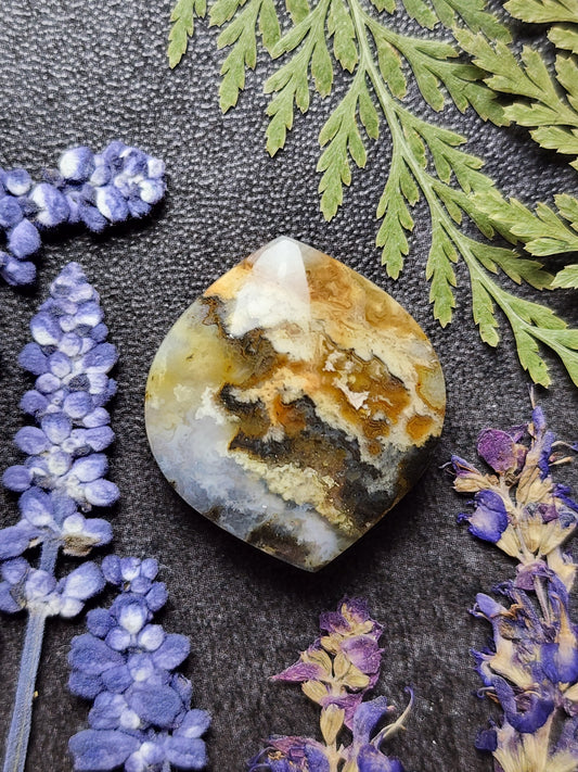 Graveyard point plume agate