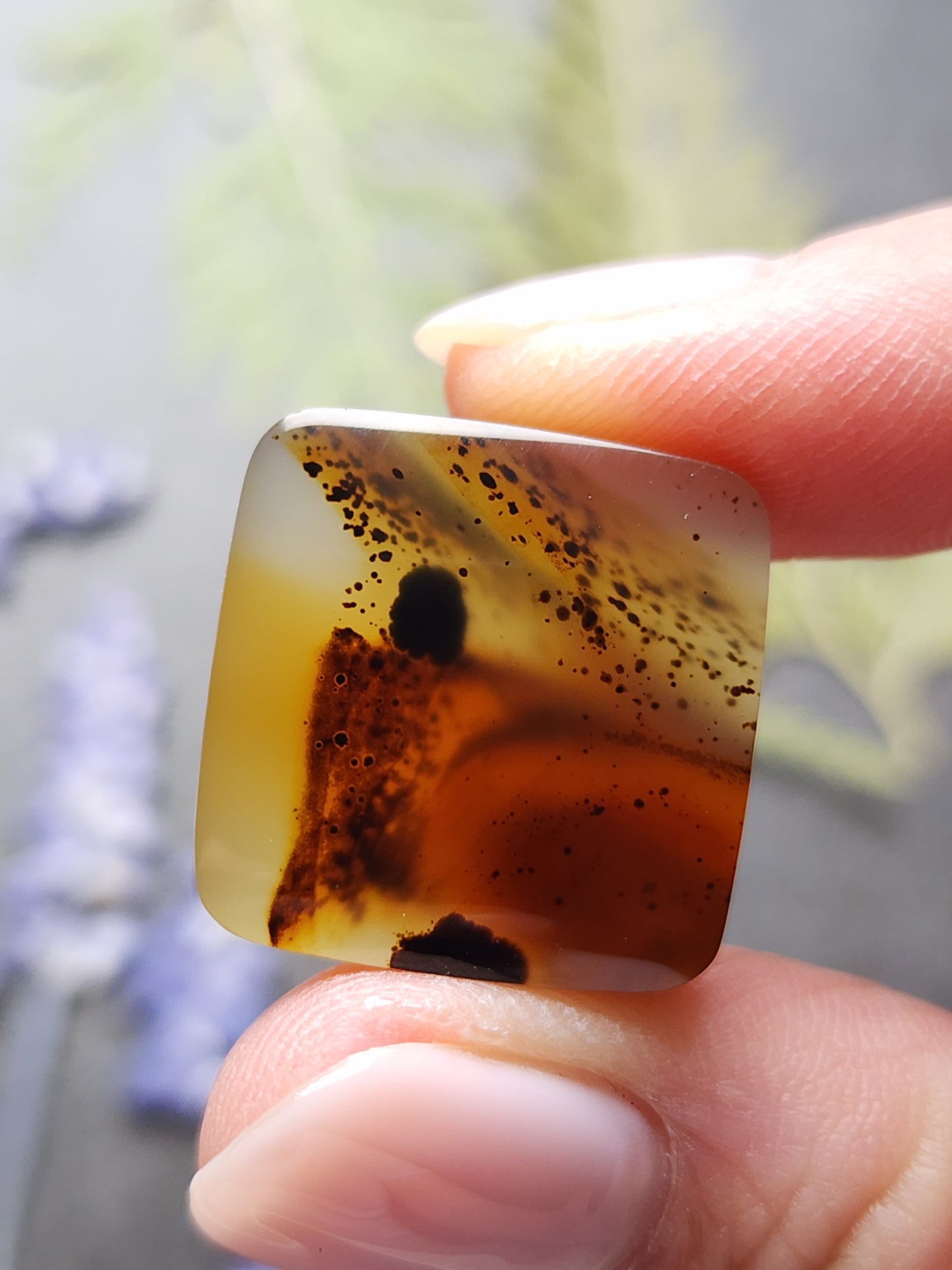 Montana agate