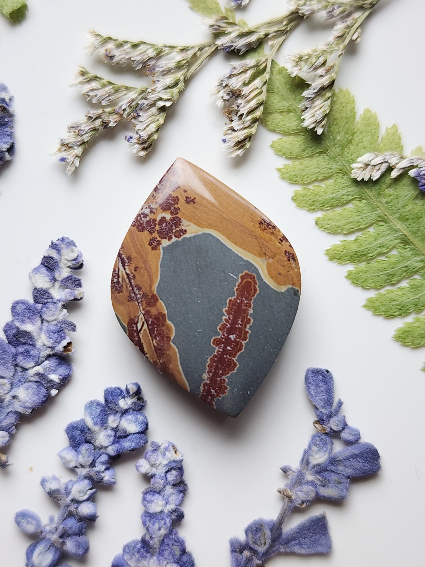 Sonoran Dendritic Rhyolite