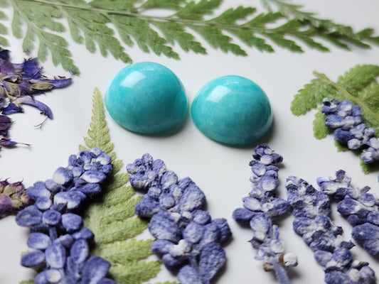 Amazonite pair