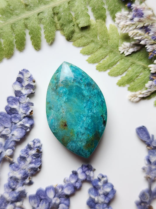 Inspiration mine Chrysocolla