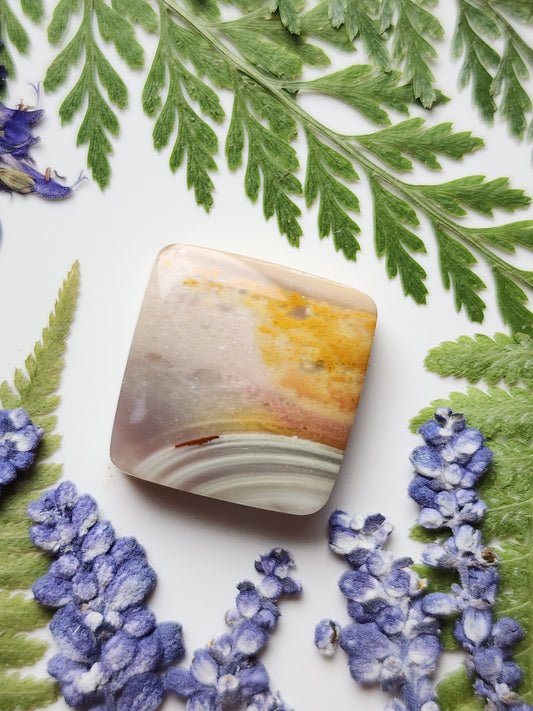 Polychrome jasper