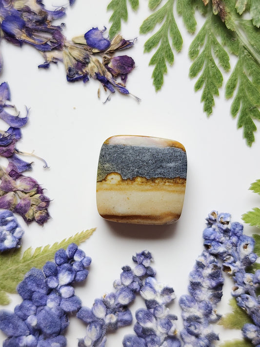 Starry night picture jasper