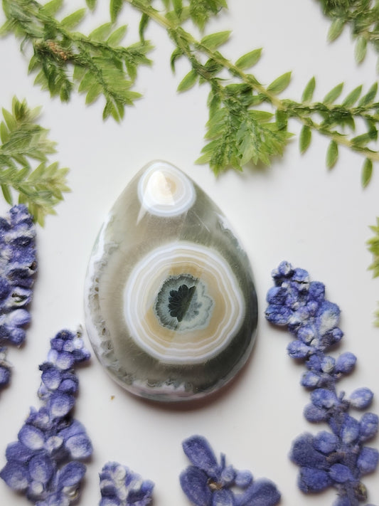 Ocean jasper