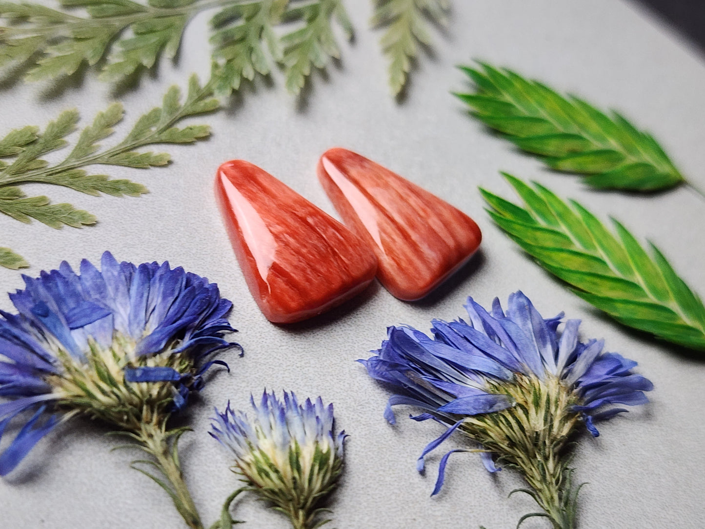Spiny shell oyster pair