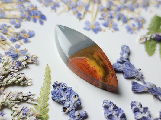 Polychrome jasper