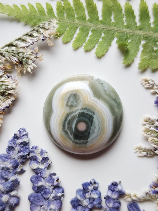 Ocean jasper