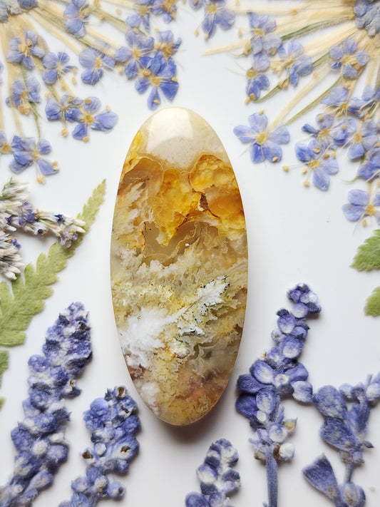 North ridge plume agate