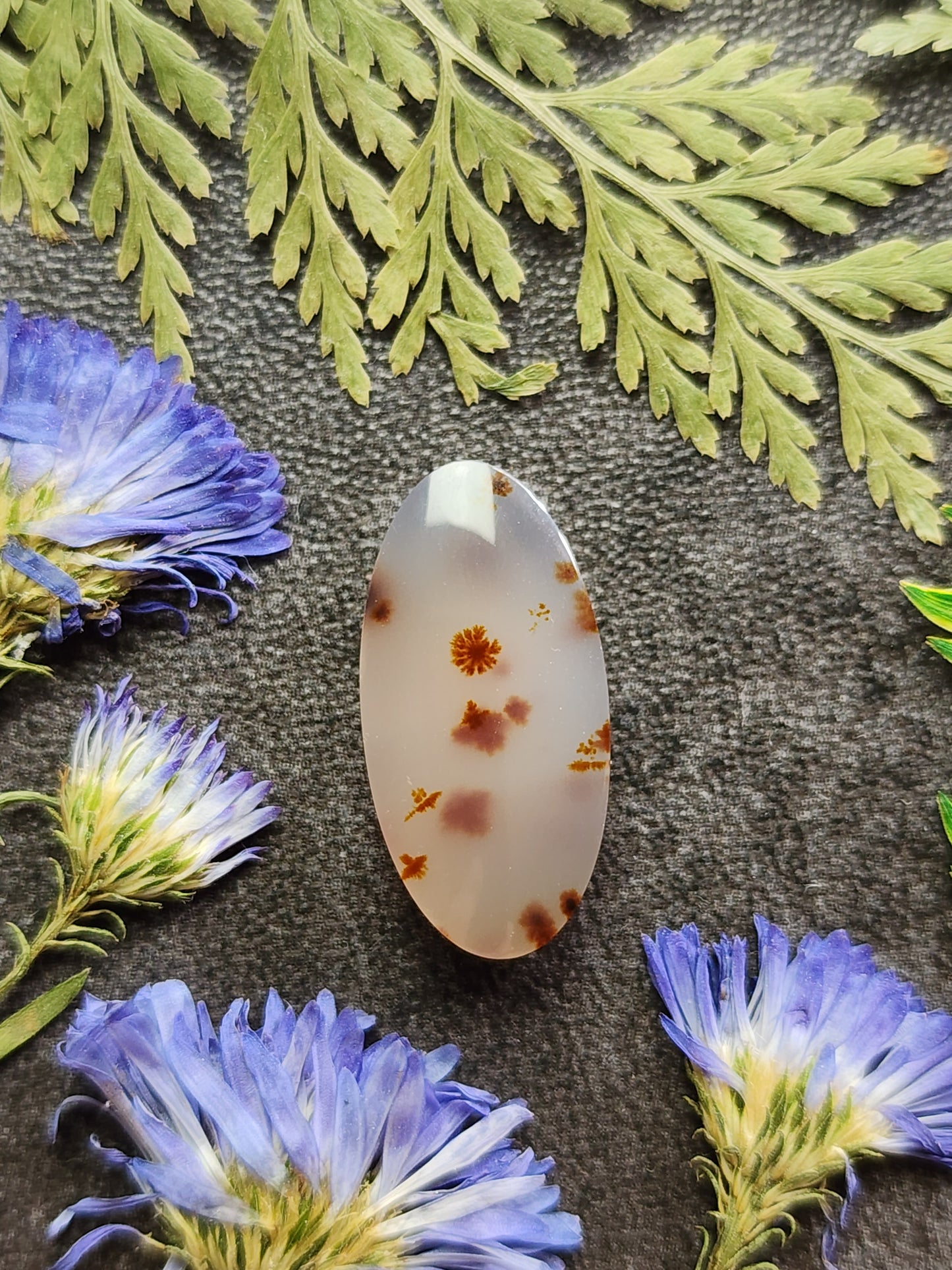 Montana agate