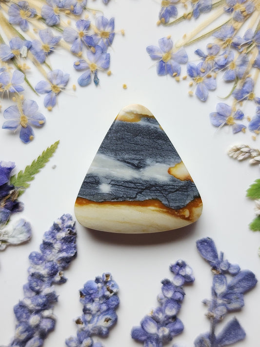 Starry night picture jasper