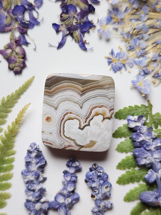 Laguna lace agate