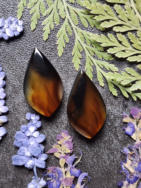 Montana agate pair