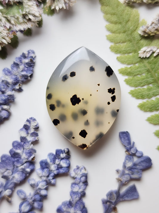 Montana agate