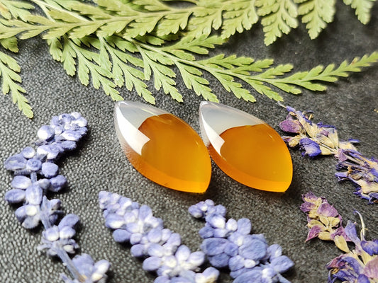Montana agate pair