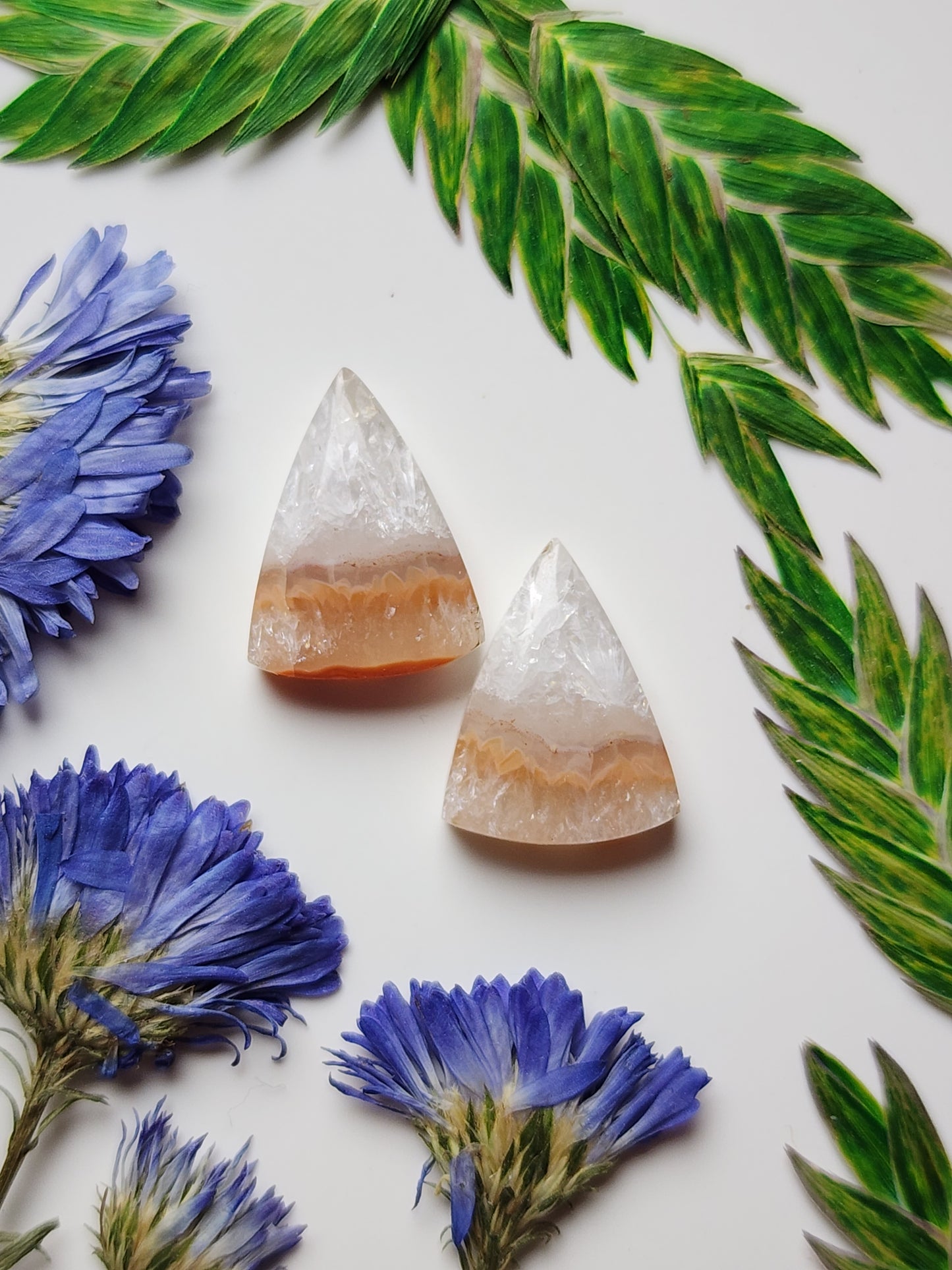 Agua Nueva agate pair