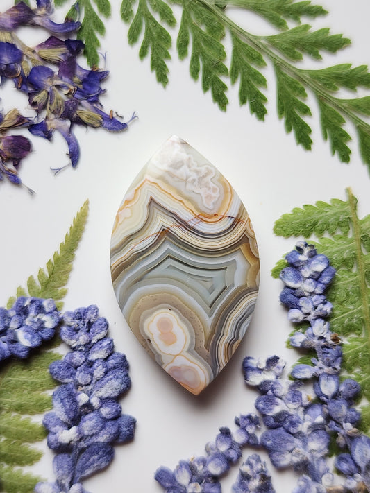 Laguna lace agate