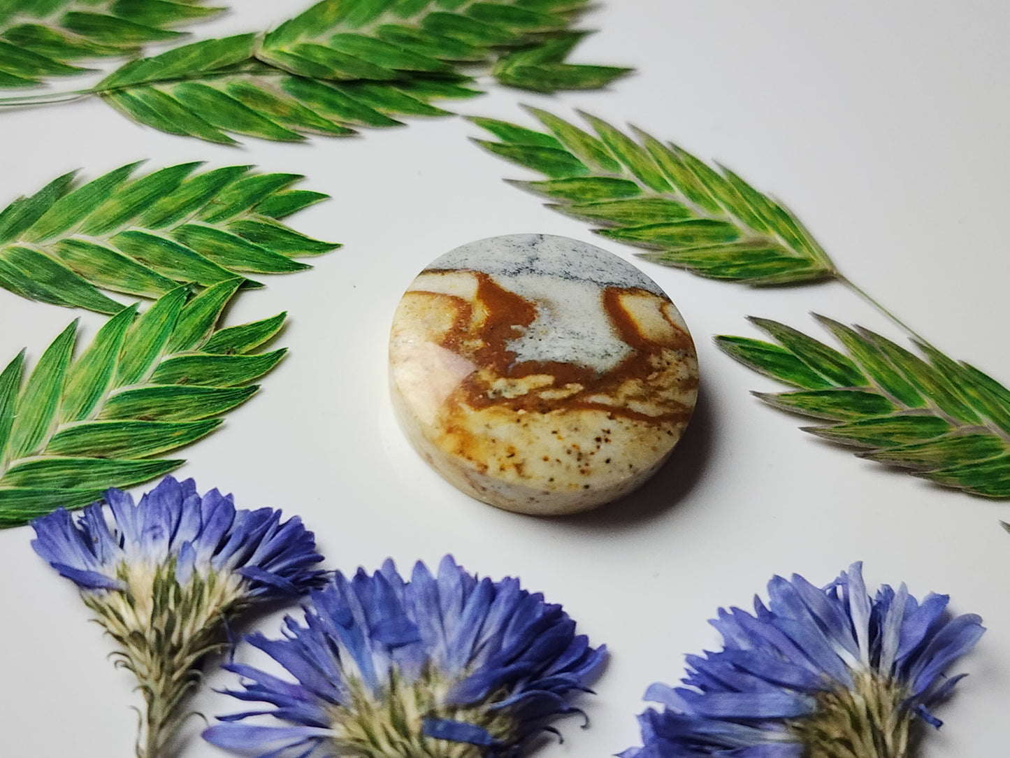 McDermitt picture jasper