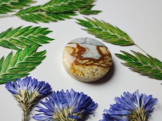 McDermitt picture jasper