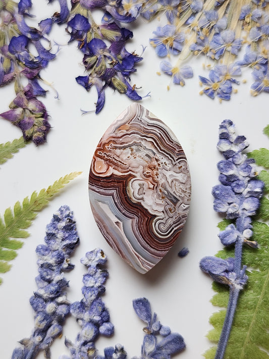 Laguna lace agate