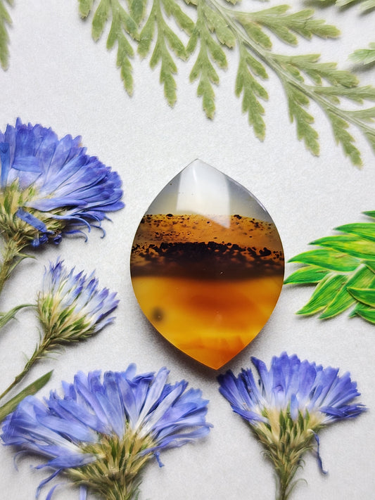 Montana agate