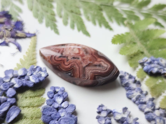 Laguna lace agate