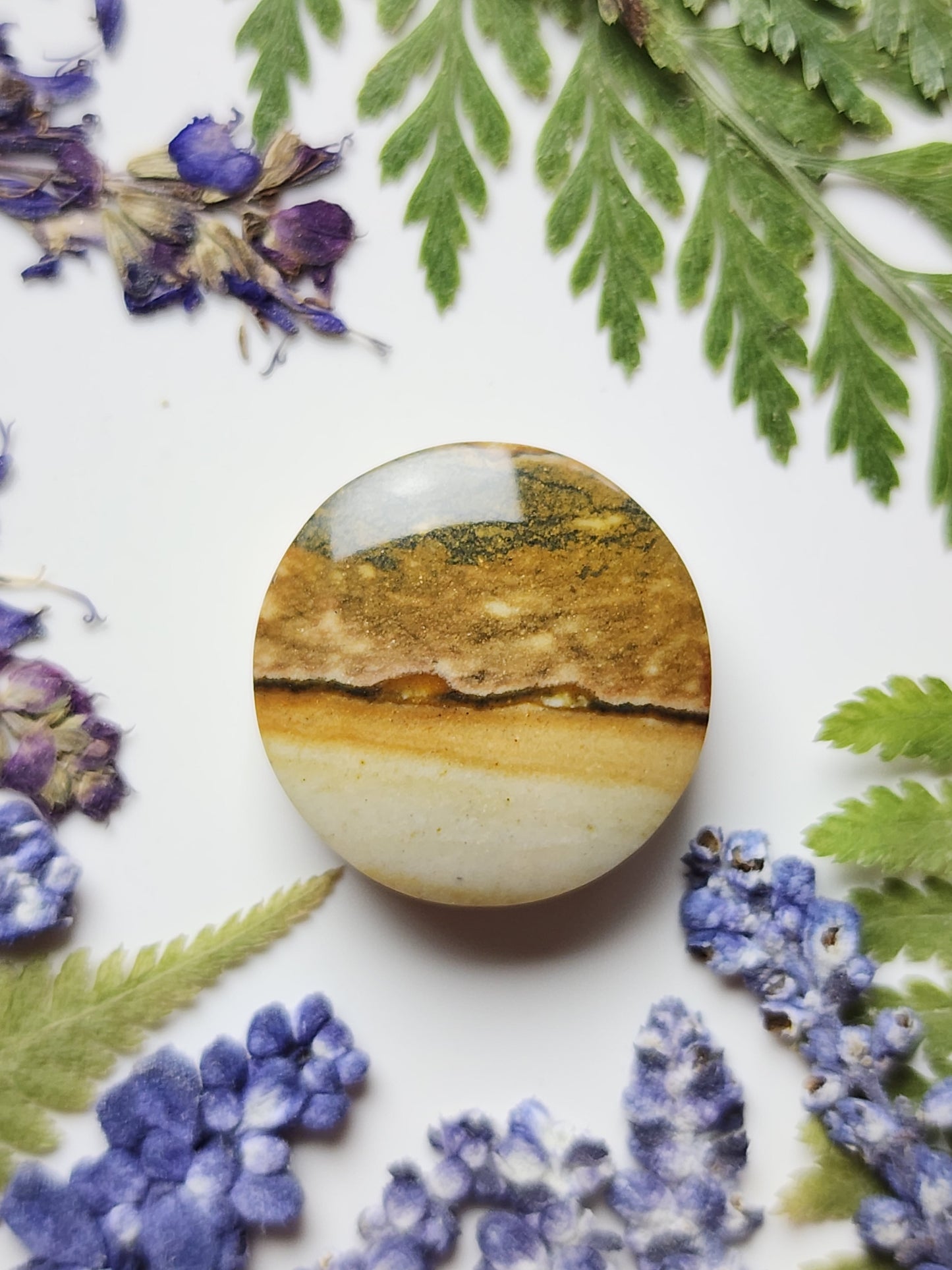 Starry night picture jasper