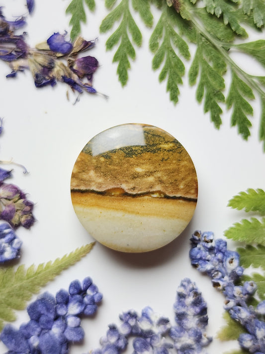 Starry night picture jasper