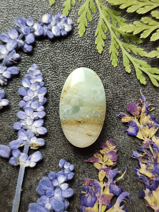 BC Ocean Picture Stone