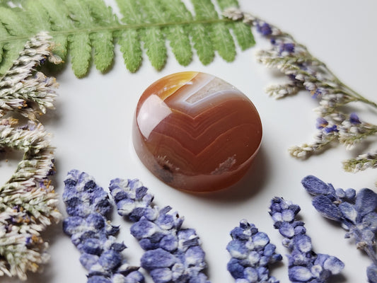 Agua Nueva agate