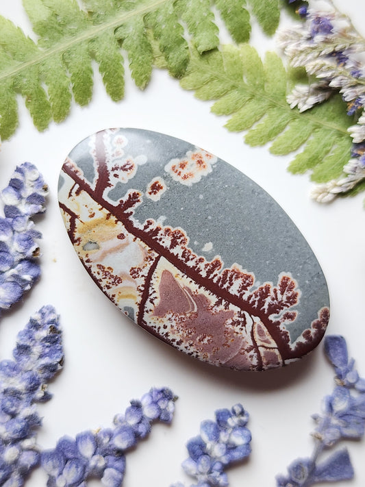 Sonoran Dendritic Rhyolite