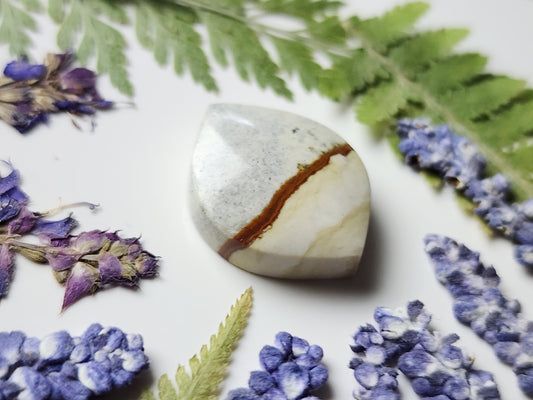 Chicken track picture jasper
