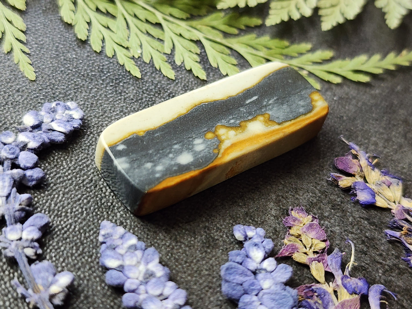 Starry night picture jasper