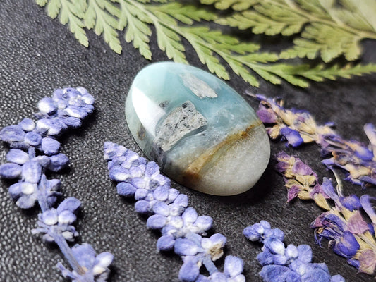 BC Ocean Picture Stone